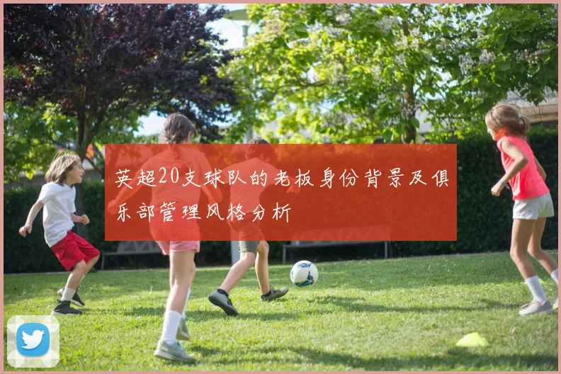 英超20支球队的老板身份背景及俱乐部管理风格分析