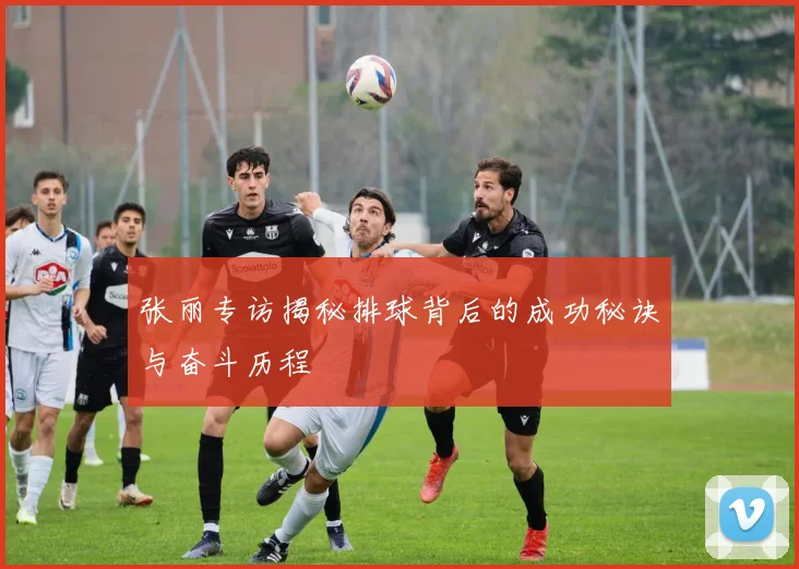 张丽专访揭秘排球背后的成功秘诀与奋斗历程